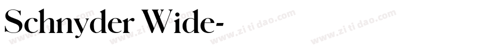 Schnyder Wide字体转换